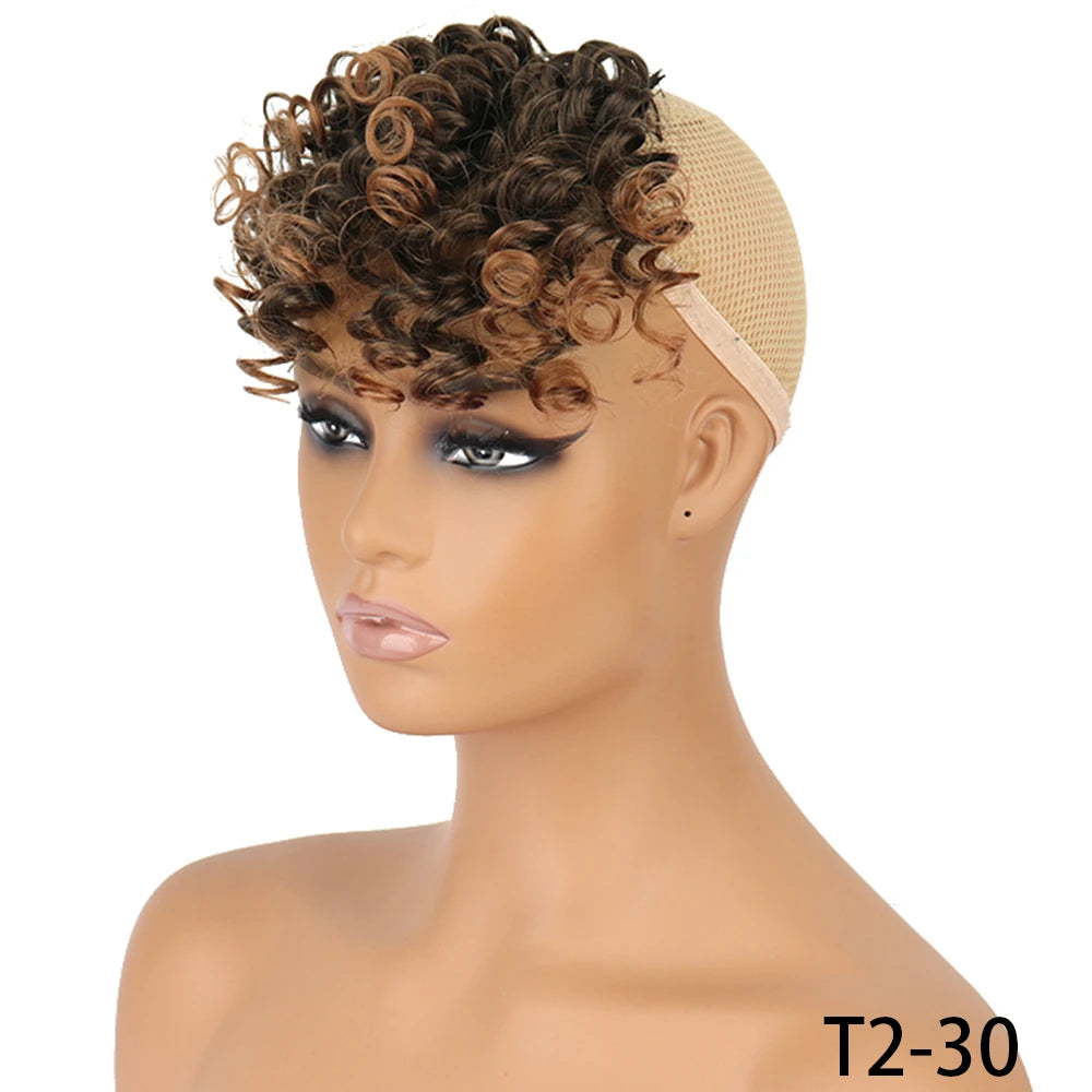 Synthetic Curly Bangs for Women Afro Puff Kinky Curly Bangs Clip In Hairpieces Natural Style Heat Resistant Fiber Hair Extension