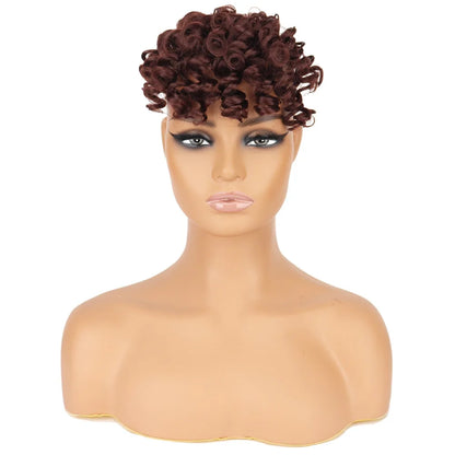Synthetic Curly Bangs for Women Afro Puff Kinky Curly Bangs Clip In Hairpieces Natural Style Heat Resistant Fiber Hair Extension